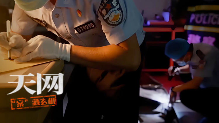 麦进小说当后妈