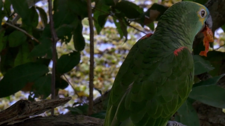 请君为我续长生的未来誓言