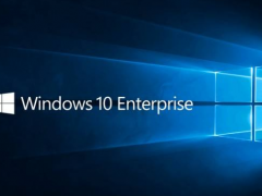 Msdn微软原版-Win10企业版下载 19042.508