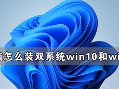 Win10和Win11双系统安装教程