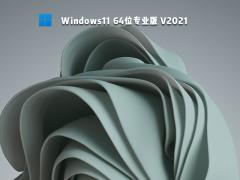 Win11专业版下载-微软原版 Win11 64位专业版下载
