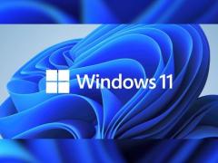 微软官网 Win11正式版 64位 ISO镜像下载 Build 22000.194