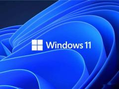 Win11专业版下载-Win11 64位永久激活版 V2021.12