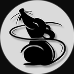 Thief-Book 上班摸鱼神器 V4.0.0 官方版