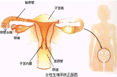 宫内环移位有什么症状