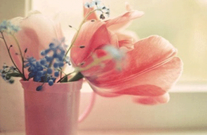 外阴长了个包怎么回事