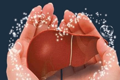 甲胎蛋白是什么意思