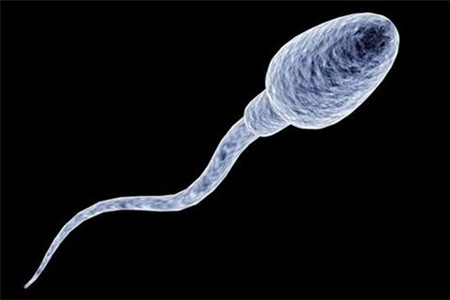 导致试管婴儿流产的原因有哪些