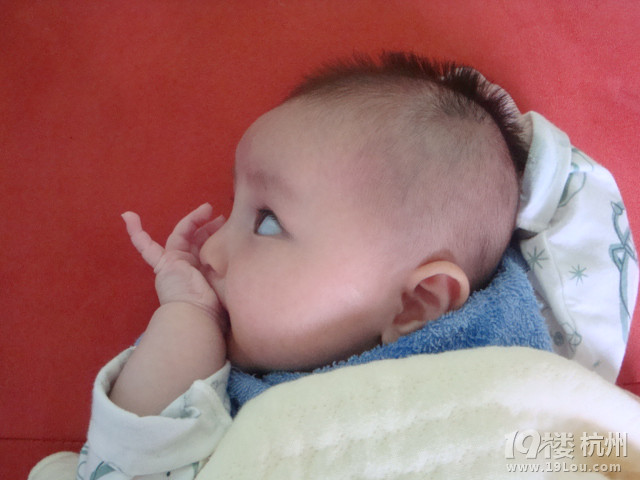 大眼胖姑娘7个月，上照啦