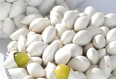 孕妇能吃白果吗