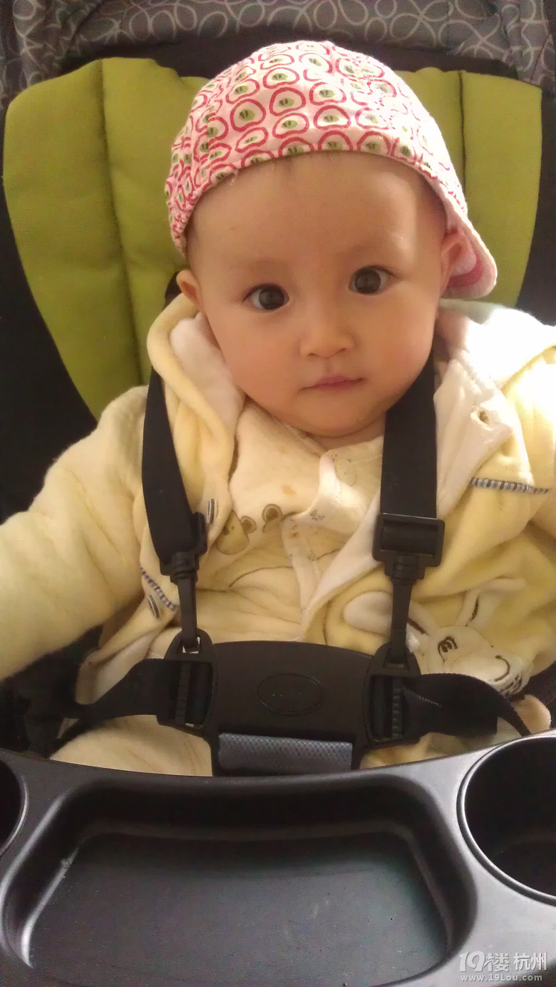 大眼胖姑娘7个月，上照啦
